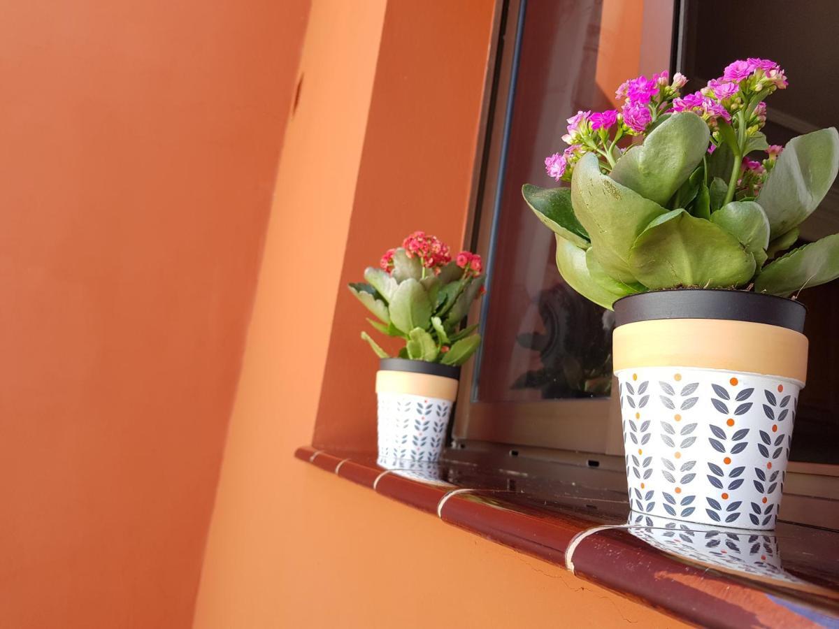 Teno Mountains&Bananas Garden House Apartment Los Silos Ngoại thất bức ảnh